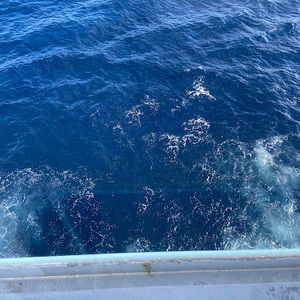 Meet your Posher, Cassandra